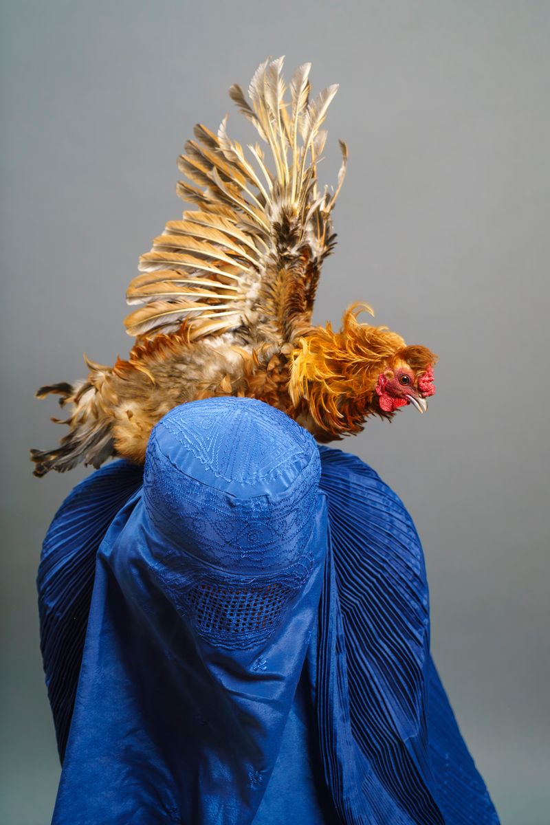 © A. Tamboly - Image from the Ladies of Kabul photography project