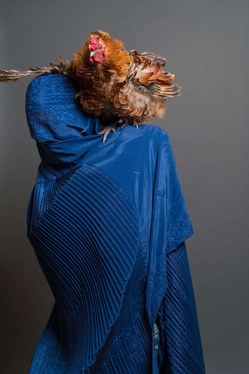 © A. Tamboly - Image from the Ladies of Kabul photography project