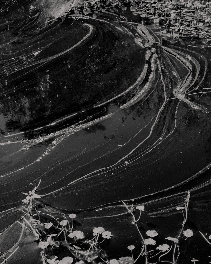 Image from a project on PhMuseum