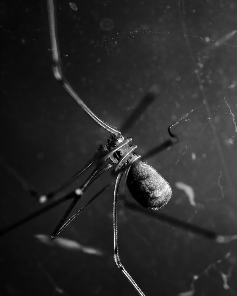 © Ben Dickey - Image from the Inheritance photography project