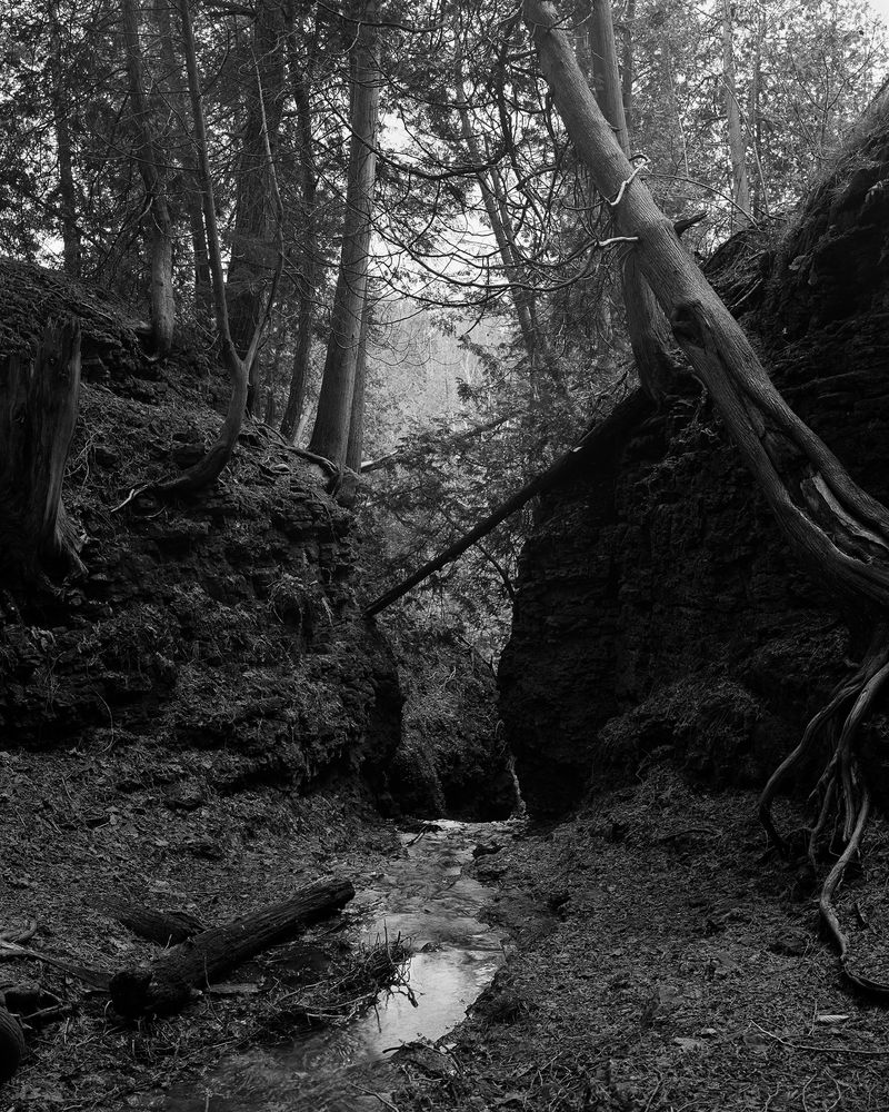 © Ben Dickey - Image from the Inheritance photography project