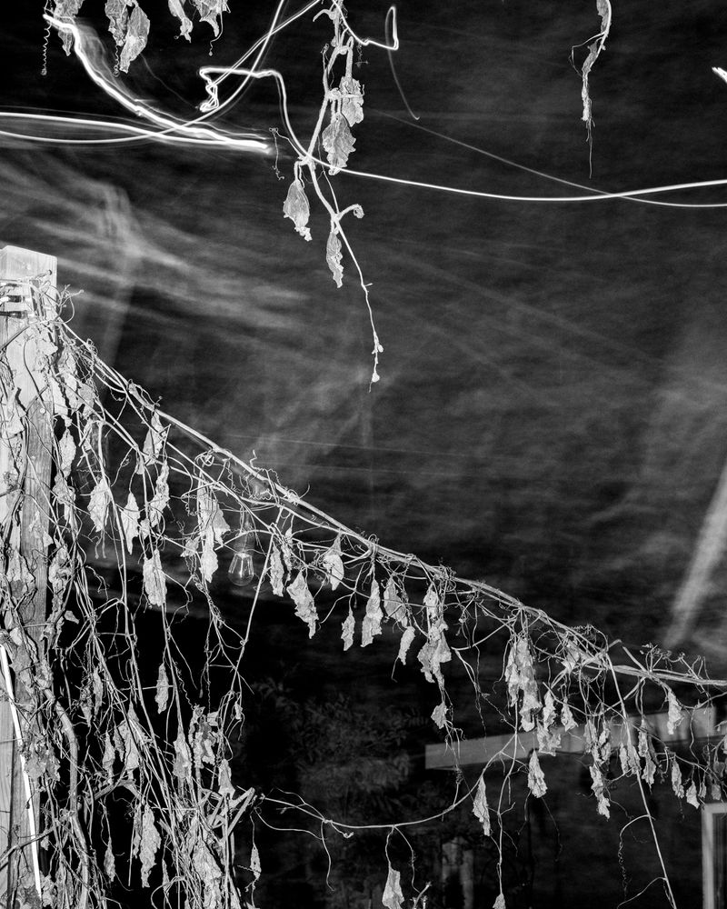 © Ben Dickey - Image from the Inheritance photography project