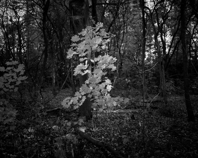 © Ben Dickey - Image from the Inheritance photography project