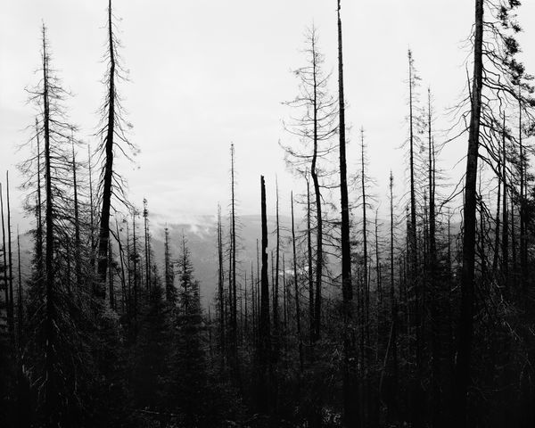 © Ben Dickey - Image from the Inheritance photography project