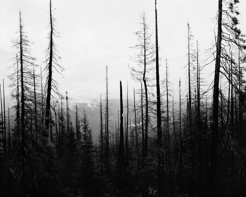 © Ben Dickey - Image from the Inheritance photography project