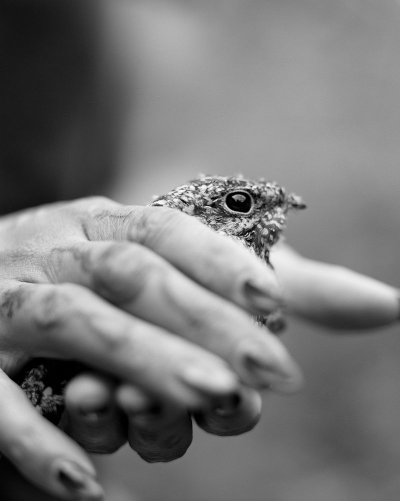 © Ben Dickey - Image from the New Quantum Memory photography project