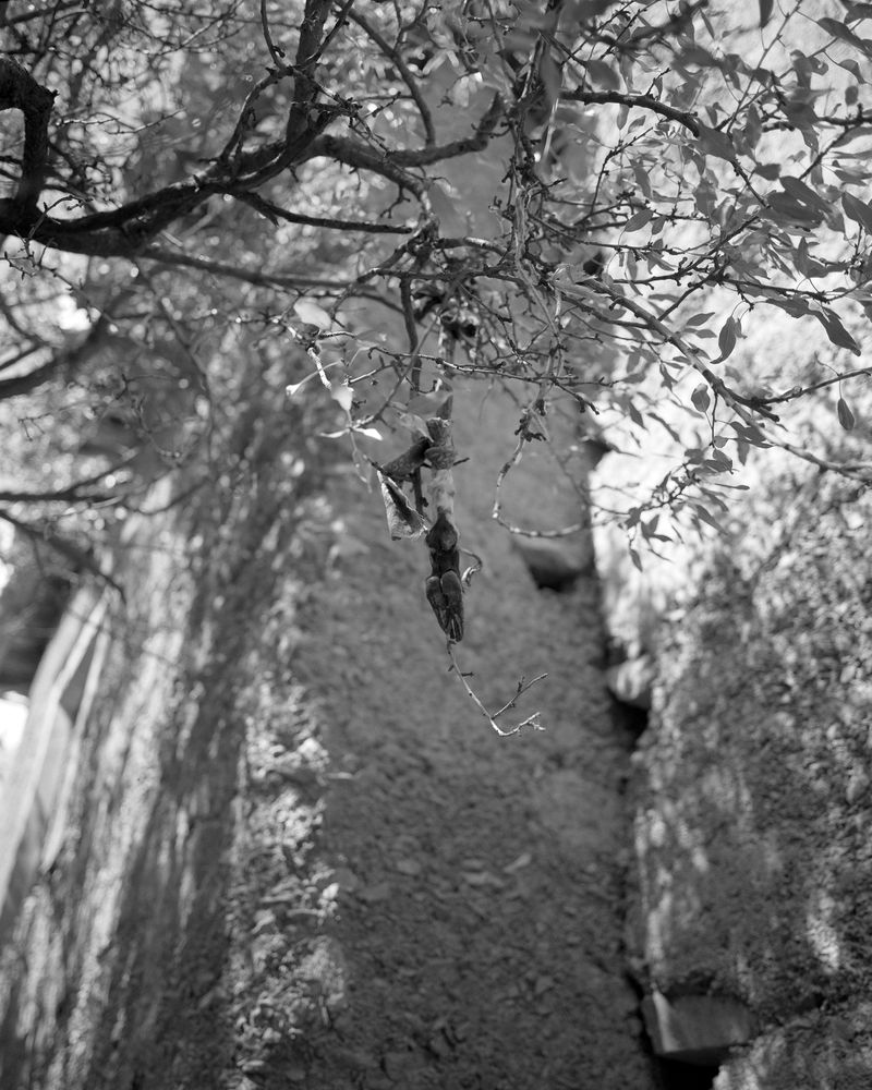 © Ben Dickey - Image from the The Voice That Does Not Ring photography project