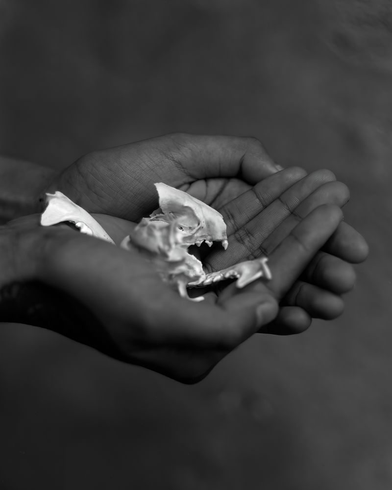 © Ben Dickey - Image from the The Voice That Does Not Ring photography project