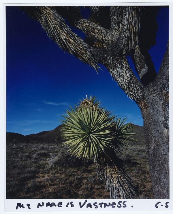 © chris shaw - Image from the HORIZON ICON photography project
