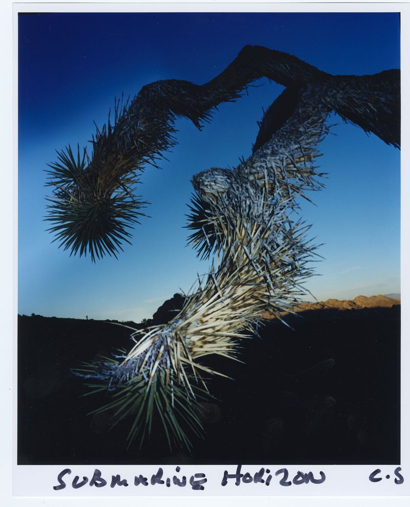 © chris shaw - Image from the HORIZON ICON photography project