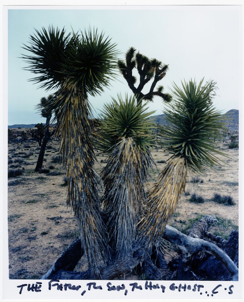 © chris shaw - Image from the HORIZON ICON photography project