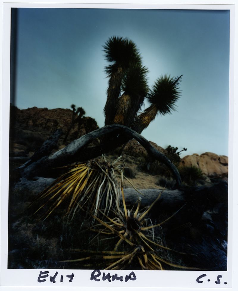© chris shaw - Image from the HORIZON ICON photography project
