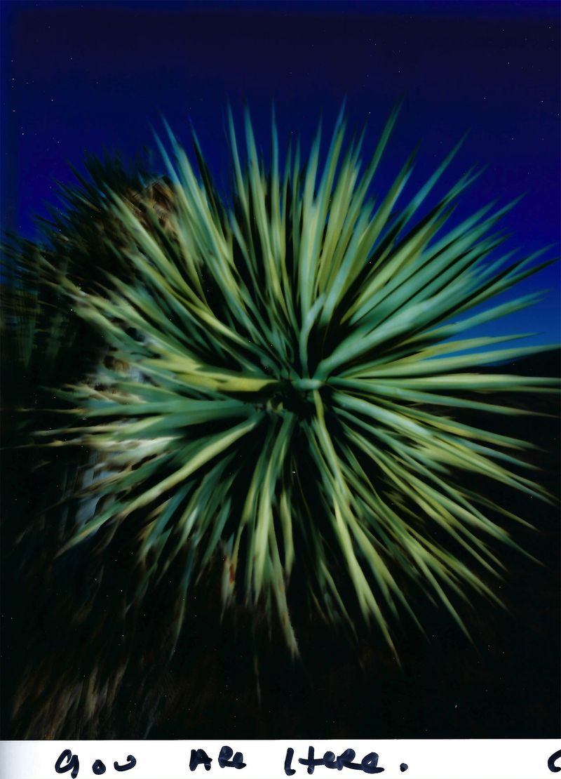 © chris shaw - Image from the HORIZON ICON photography project