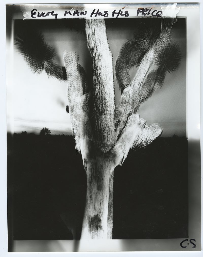 © chris shaw - Image from the HORIZON ICON photography project