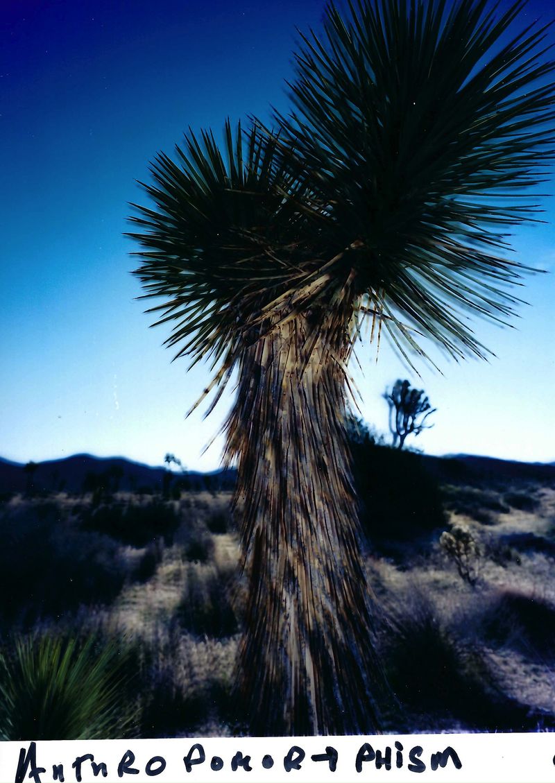 © chris shaw - Image from the HORIZON ICON photography project