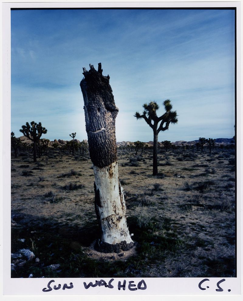 © chris shaw - Image from the HORIZON ICON photography project