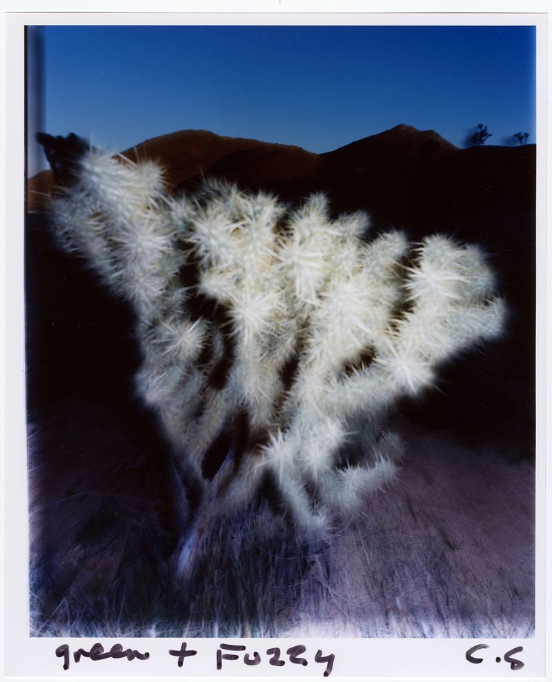 © chris shaw - Image from the HORIZON ICON photography project