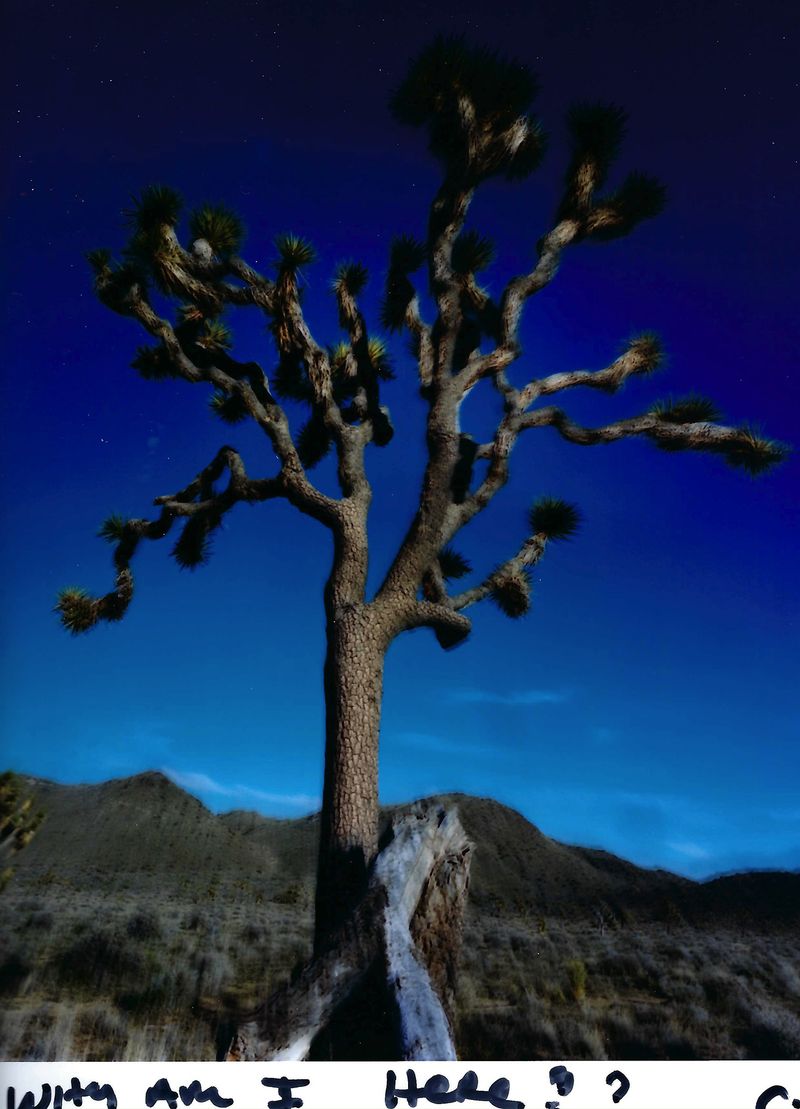 © chris shaw - Image from the HORIZON ICON photography project