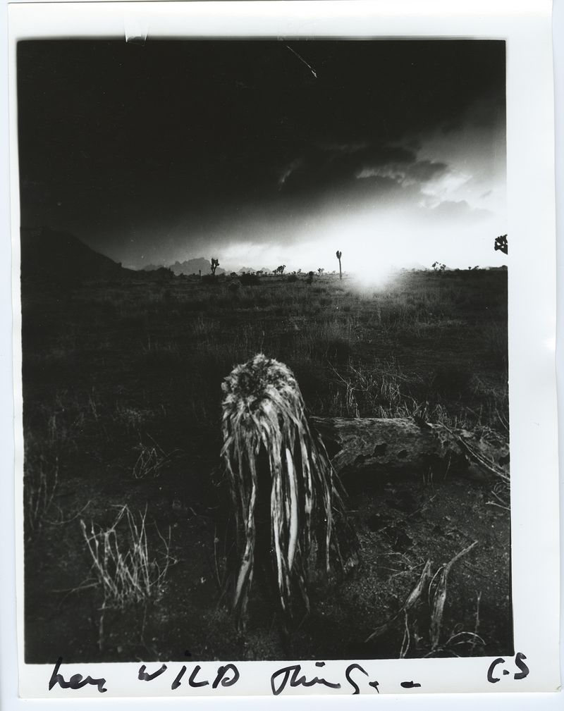 © chris shaw - Image from the HORIZON ICON photography project