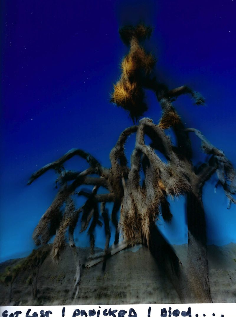 © chris shaw - Image from the HORIZON ICON photography project