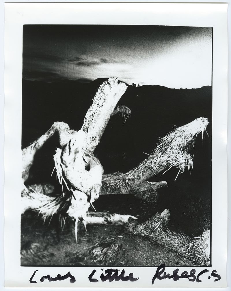 © chris shaw - Image from the HORIZON ICON photography project