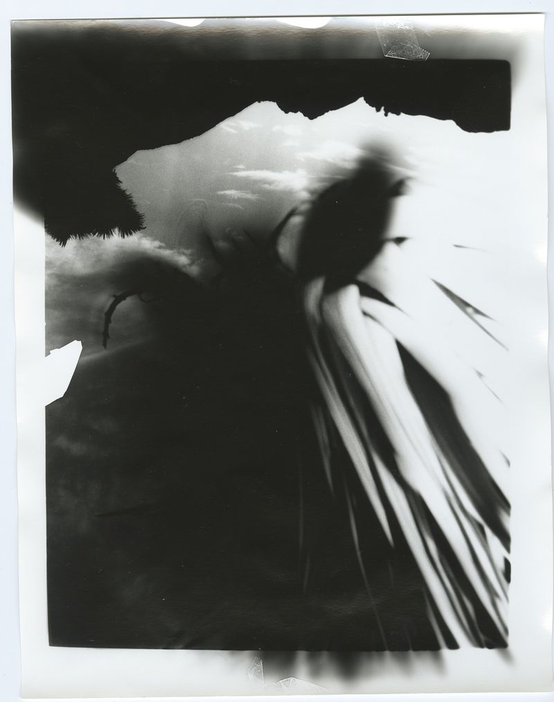 © chris shaw - Image from the HORIZON ICON photography project