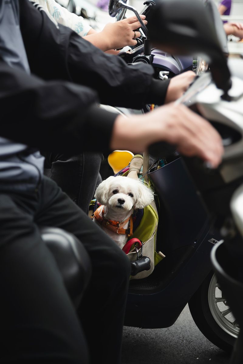 © Andrés Gallardo Albajar - Image from the Life On 2 Wheels - Taiwan photography project