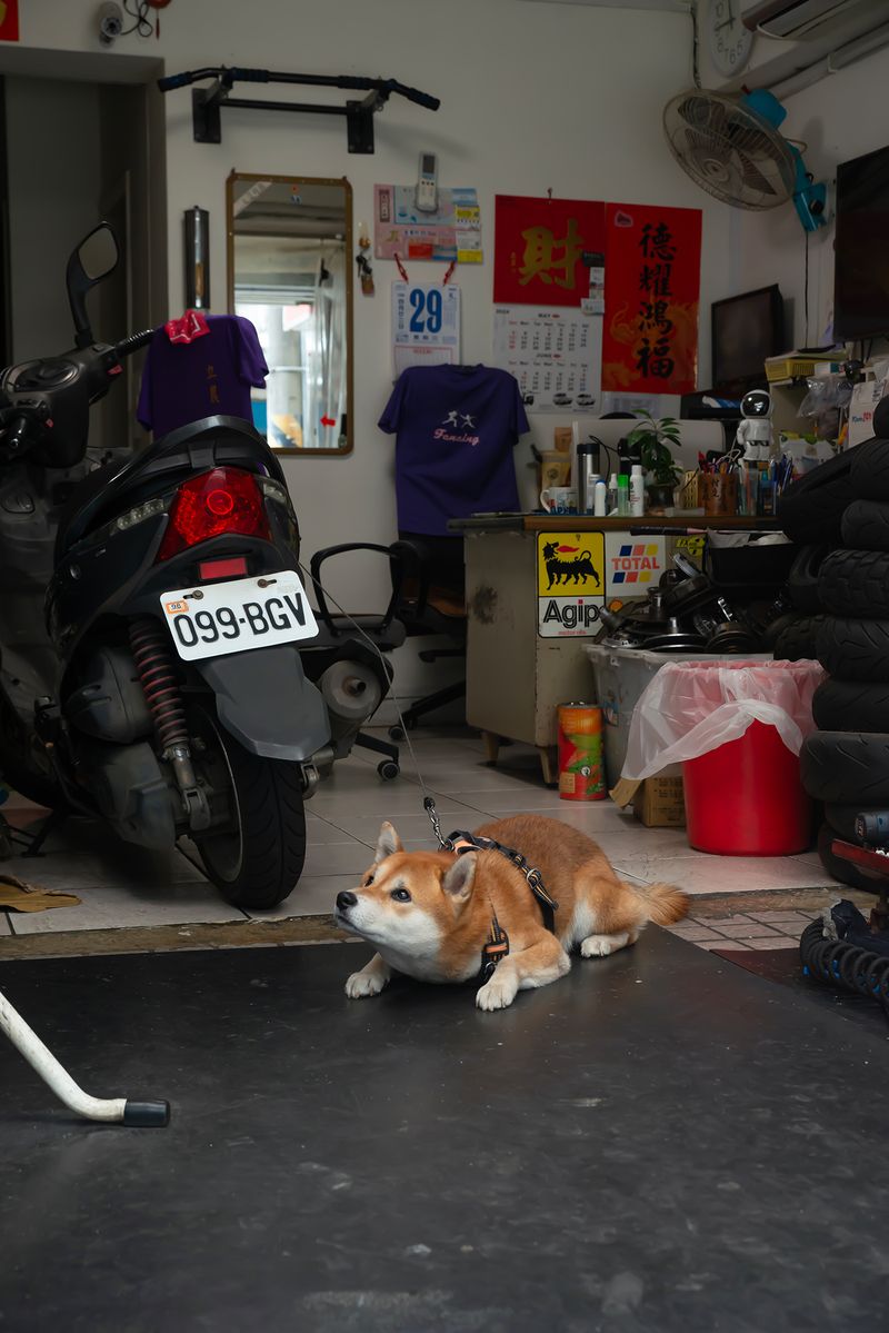© Andrés Gallardo Albajar - Image from the Life On 2 Wheels - Taiwan photography project