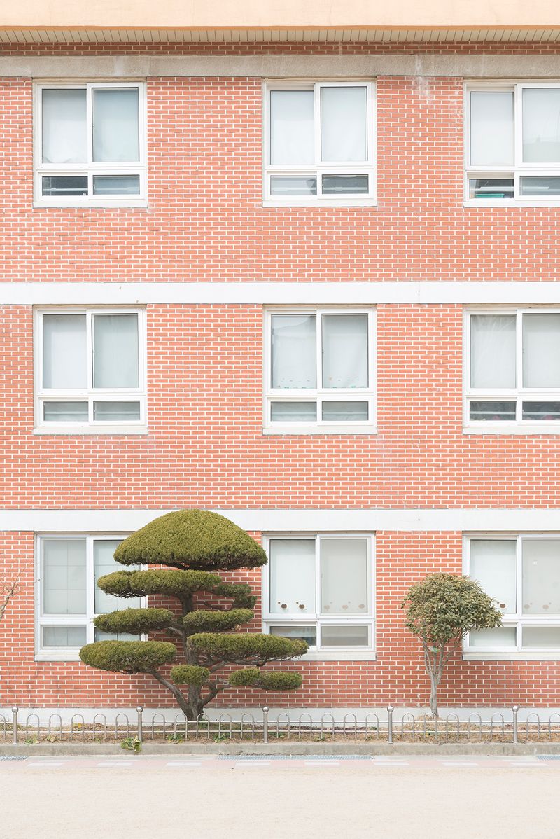 © Andrés Gallardo Albajar - Image from the Korean Schooling photography project