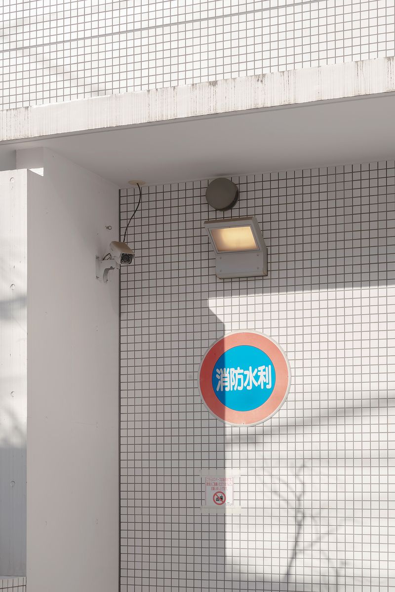 © Andrés Gallardo Albajar - Image from the Perfectly Aligned Japan photography project