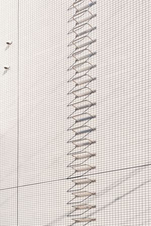 Perfectly Aligned Japan