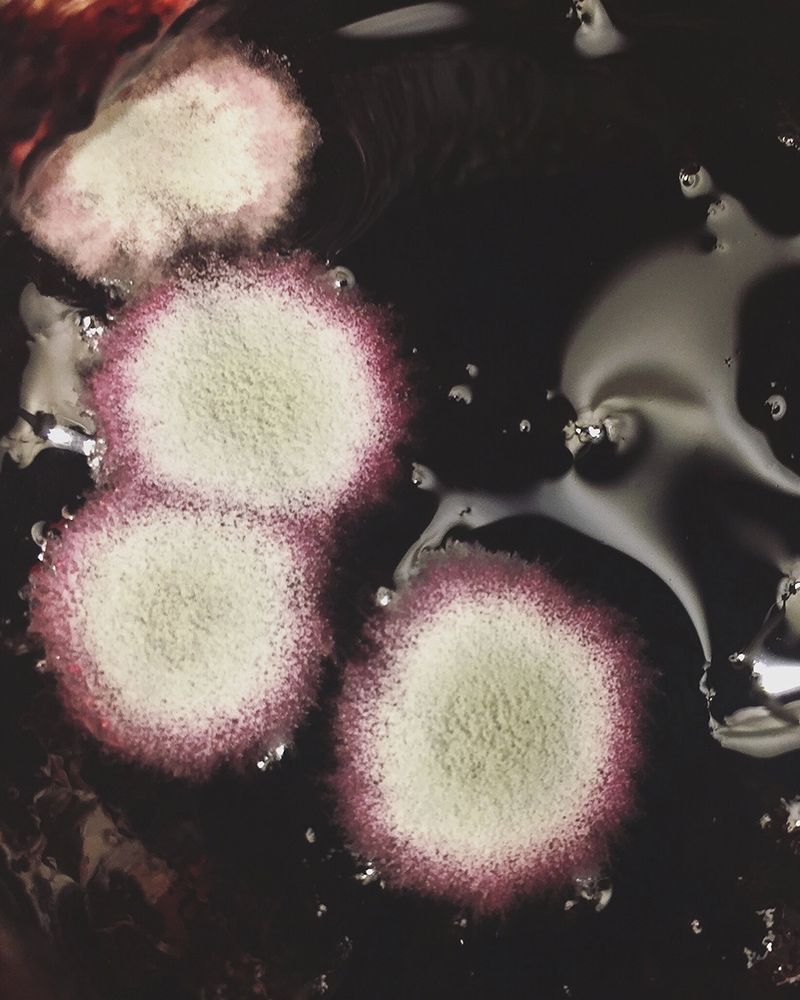 © chiara ernandes - Image from the Still Birth photography project
