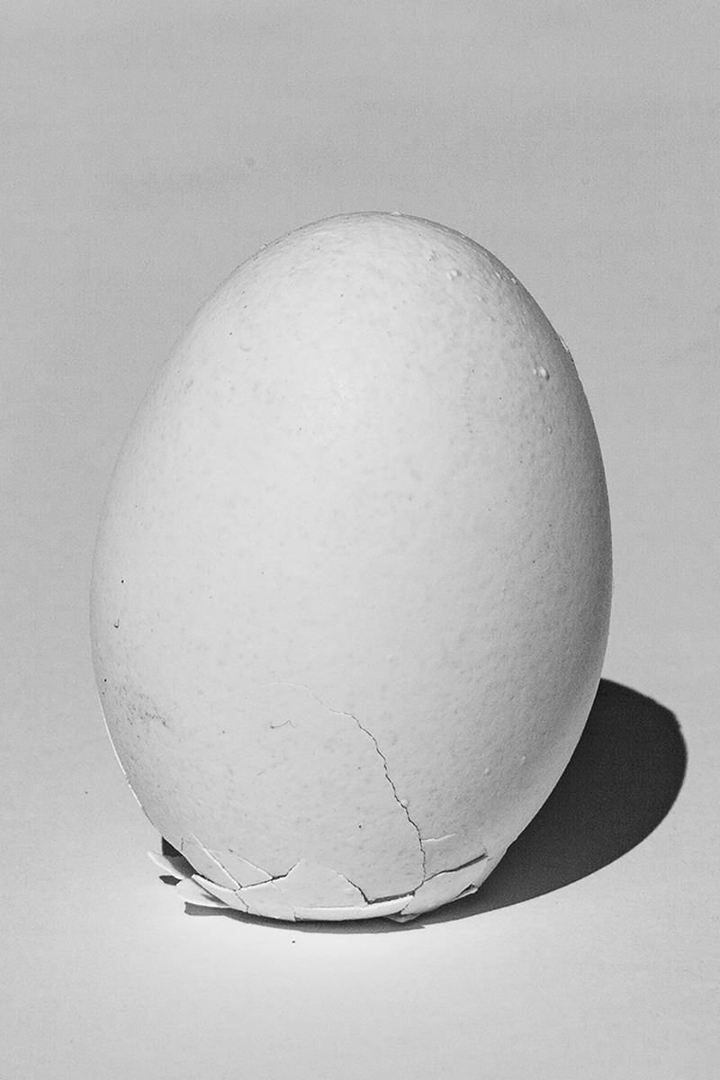 © chiara ernandes - Image from the Still Birth photography project