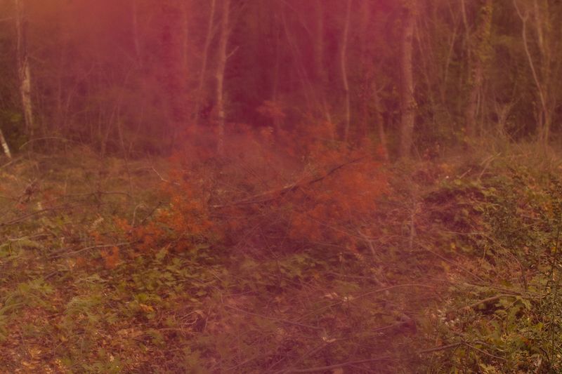 © chiara ernandes - Image from the Still Birth photography project