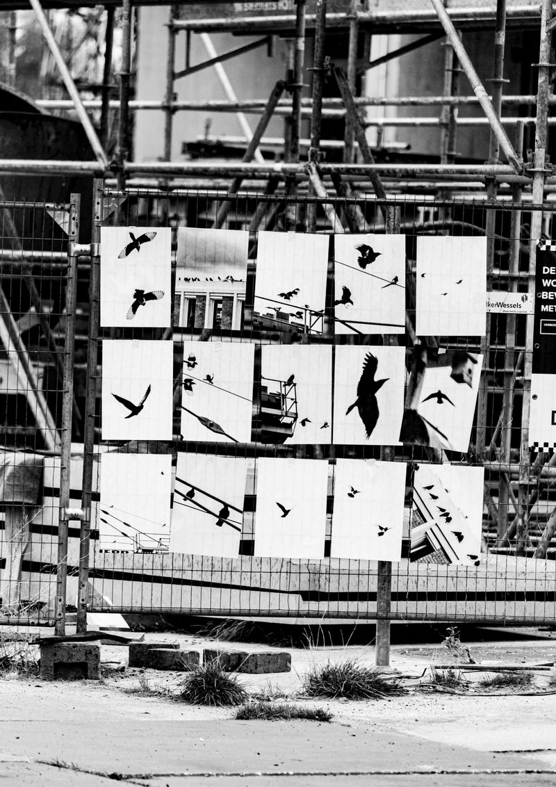 © Jesper Boot - Image from the Own your piece of the sky photography project