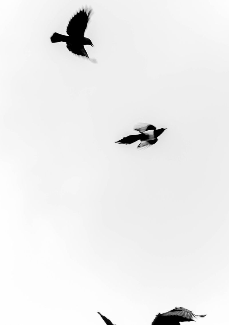 © Jesper Boot - Image from the Own your piece of the sky photography project