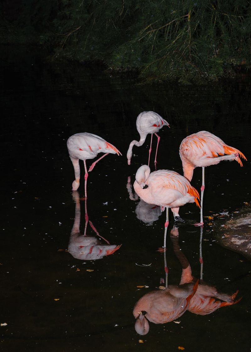 © Doro Zinn - Image from the Future Kids photography project