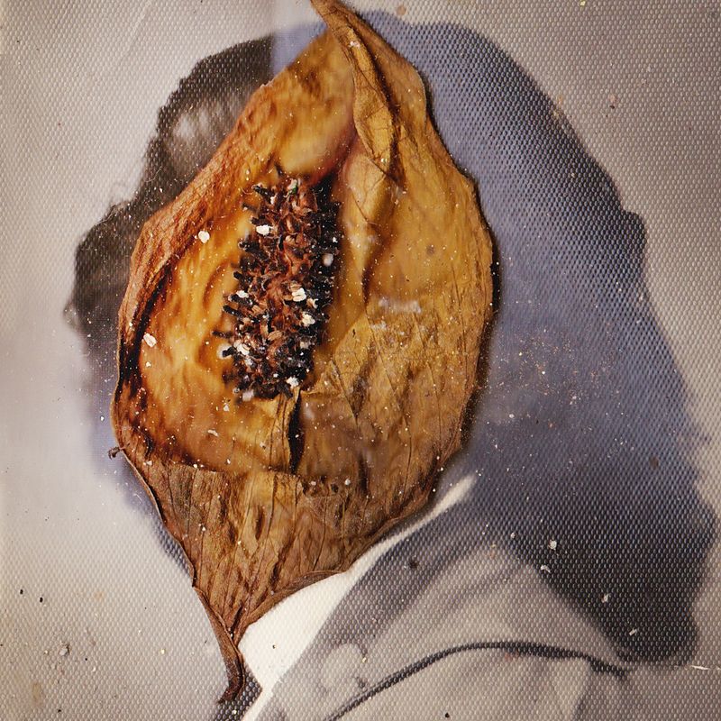 © nairafee - Image from the Aeonian photography project