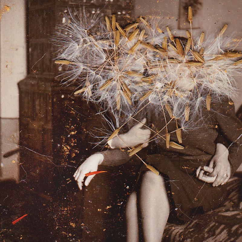 © nairafee - Image from the Aeonian photography project