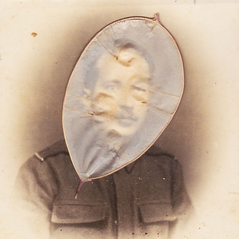 © nairafee - Image from the Aeonian photography project