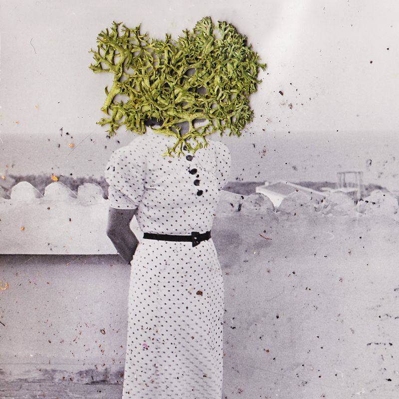 © nairafee - Image from the Aeonian photography project