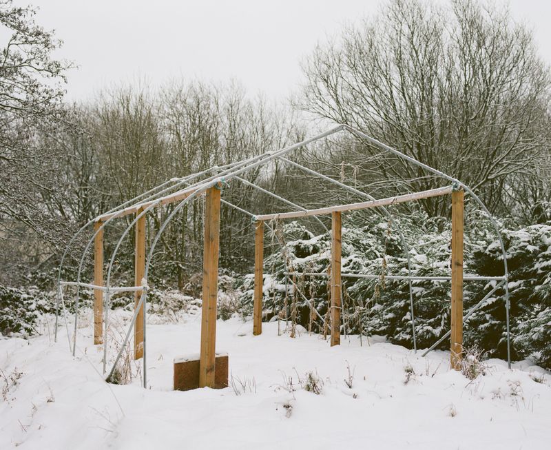 © Safia Mirzai - Image from the Our Dawning Day Draws Its First Breath photography project