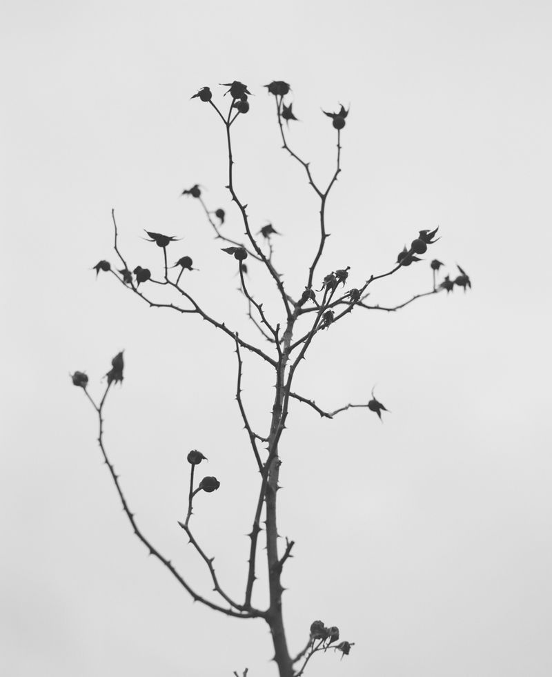 © Safia Mirzai - Image from the Our Dawning Day Draws Its First Breath photography project