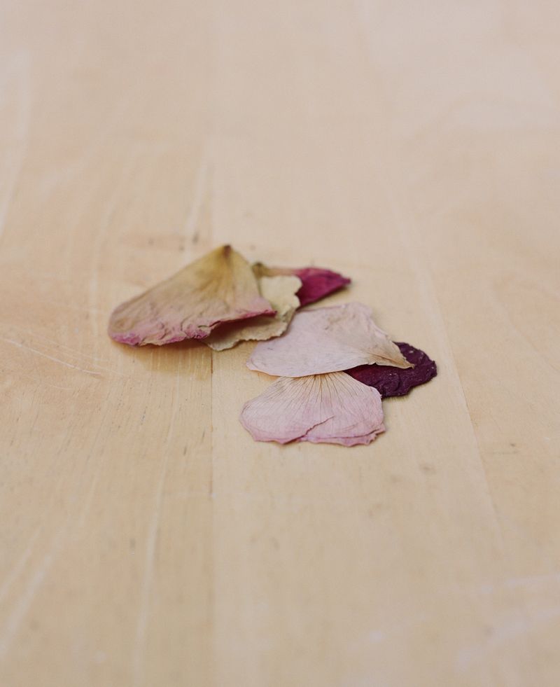 © Safia Mirzai - Image from the Our Dawning Day Draws Its First Breath photography project