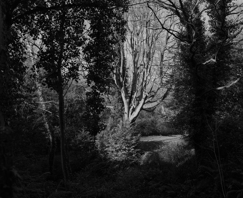 © Safia Mirzai - Image from the Our Dawning Day Draws Its First Breath photography project