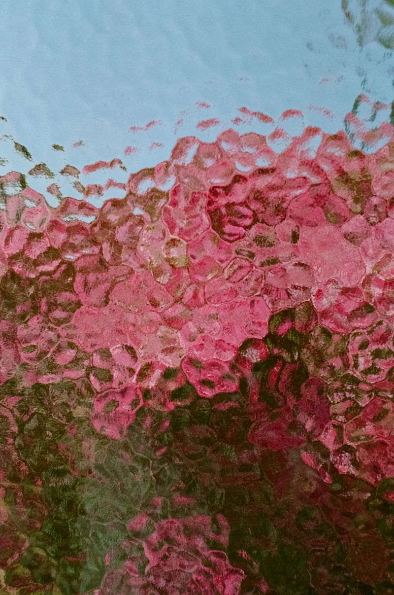 © Zafiro Chiossoni - Image from the 'glass' photography project
