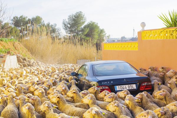 © Ricardo Cases - Image from the El Porqué de las Naranjas (The mechanics of chaos) photography project