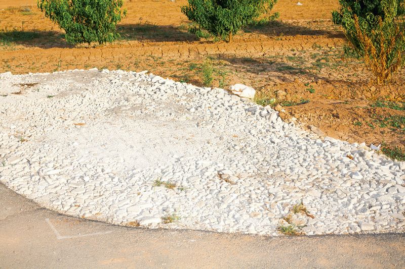 © Ricardo Cases - Image from the El Porqué de las Naranjas (The mechanics of chaos) photography project