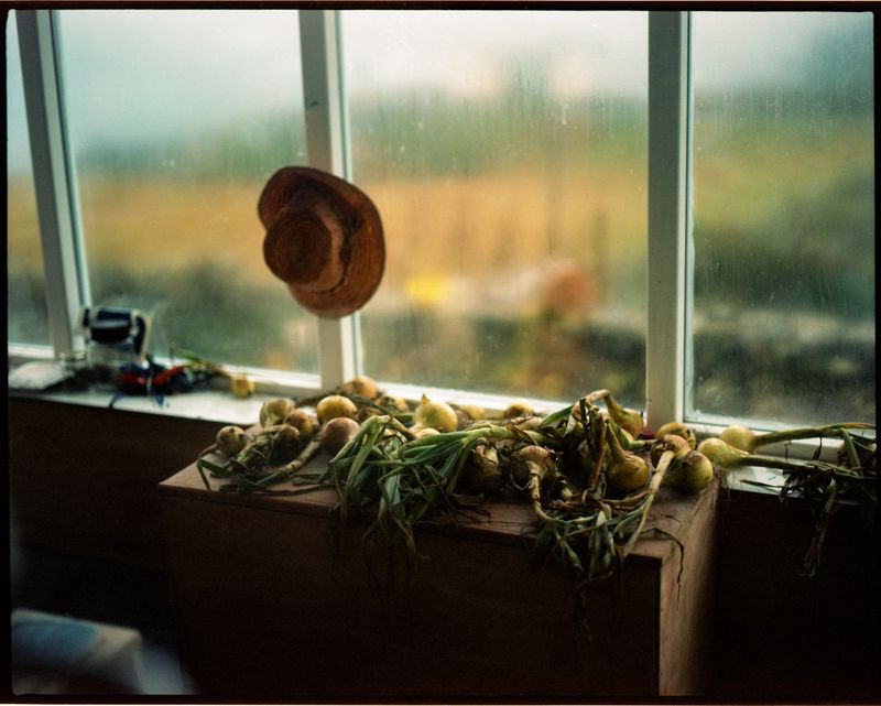 © Giulia Savorelli - Image from the the Sea is Land's Edge photography project