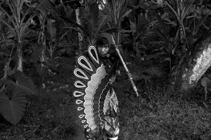 Wangsit: The Revelations of Java